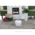 New design style automatic pet waterer bowl